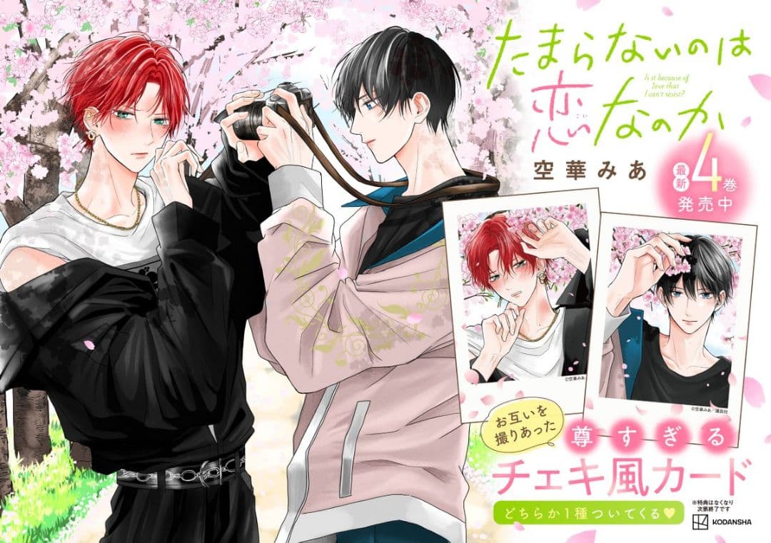 特典】たまらないのは恋なのか TSUTAYA限定 チェキ風カード セット