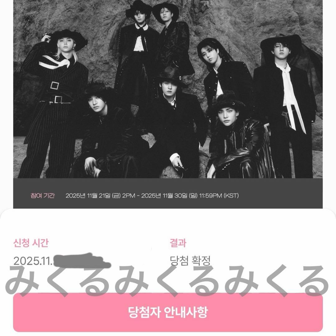 straykids チャンビン トレカ スミン do it 当選 ストリーミング