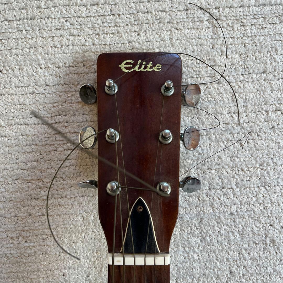期間限定】Elite Takamine アコースティックギター F120 - メルカリ