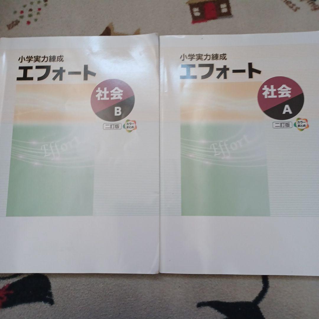 名進研 完全制覇シリーズ 受験社会*算数*国語*理科 6年生 教材17冊