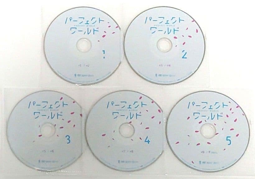 パーフェクトワールド DVD 全巻 セット ドラマ 松坂桃李 山本美月 松重