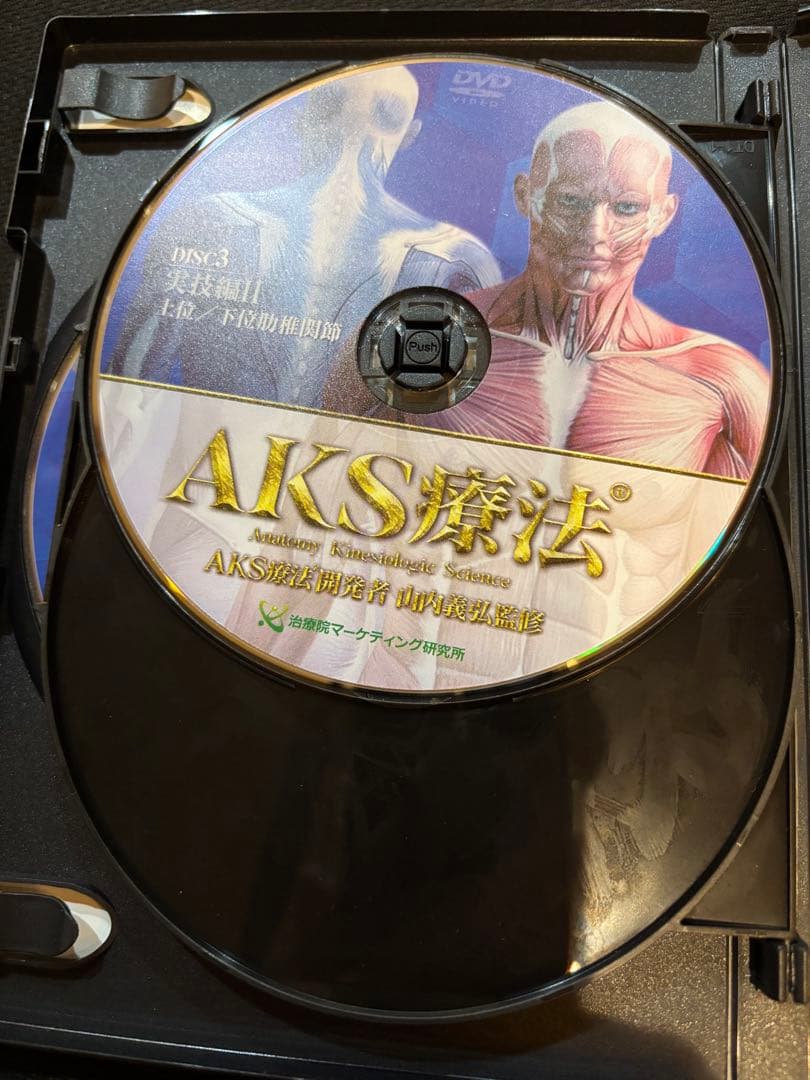 AKS療法 DVD6枚 シンデレラ‧リッチセラピスト養成講座の山内義弘先生