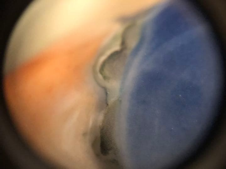 加藤友太郎 釉下彩 友玉園陶寿製 柿木に鴉 花瓶 - メルカリ