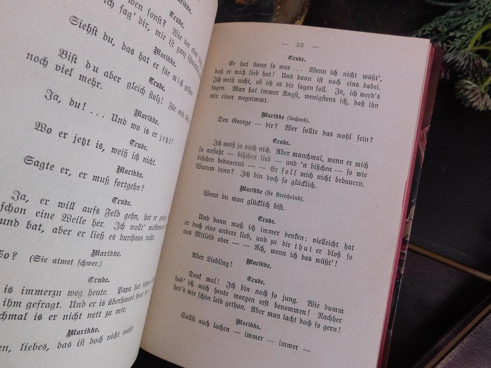 3冊セット.:*゜背表紙が素敵なドイツとチェコの古書 20世紀初頭 まとめ