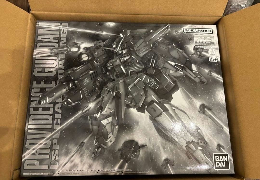 MG 1/100 プロヴィデンスガンダム スペシャルコーティング 段ボール