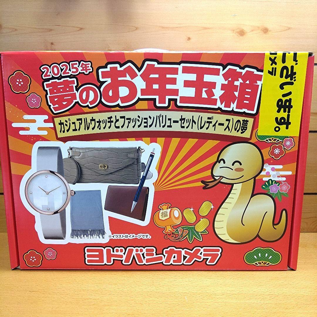 2025ヨドバシ夢のお年玉箱 カジュアルウォッチとファッションバリュー