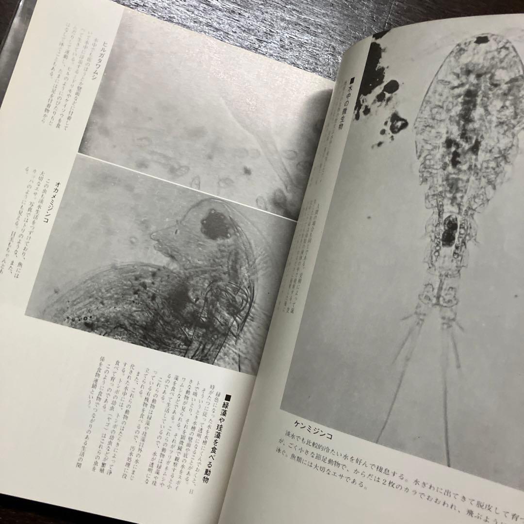 希少 大型本 初版 顕微鏡の世界 初版 ビニールカバー・函付 辻井政一