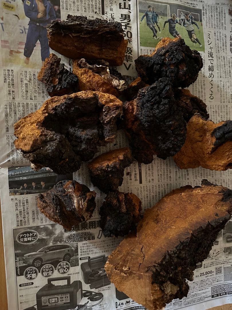 北海道産 カバノアナタケ - メルカリ