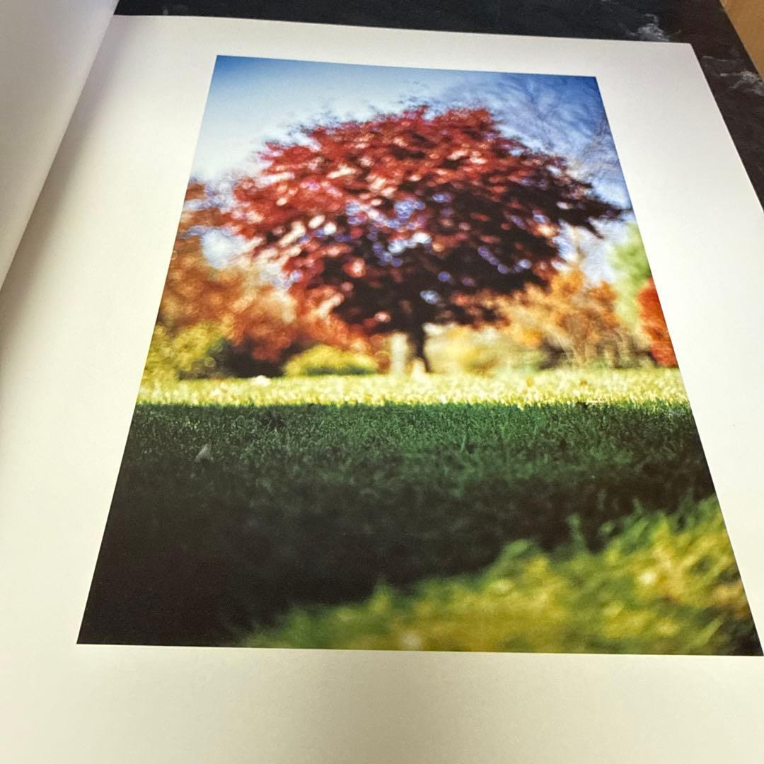 Terri Weifenbach 写真集