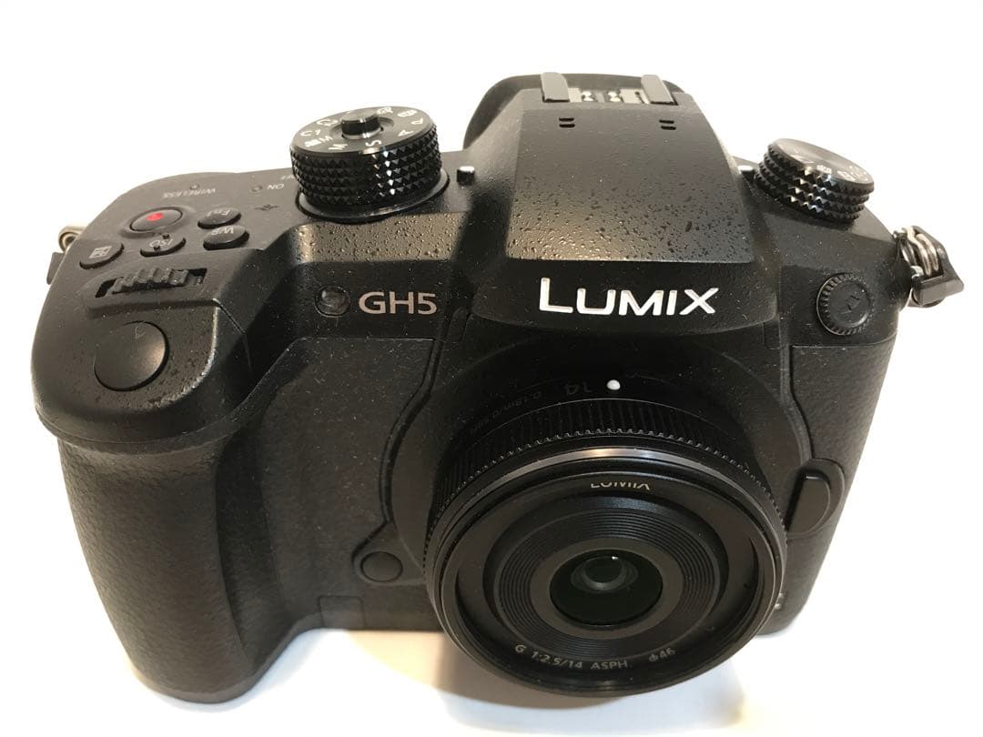 LUMIX Panasonic GH5 RD-SPM049 - メルカリ