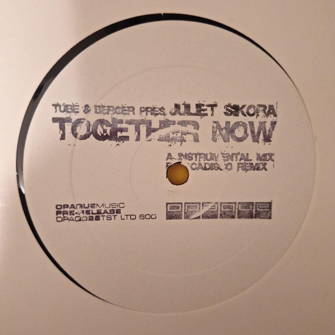 テクノ ダウンテンポ系 レコード 10枚セット - メルカリ