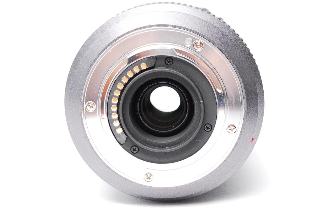 【極美品】LUMIX G VARIO 45-200mm F4.0-5.6