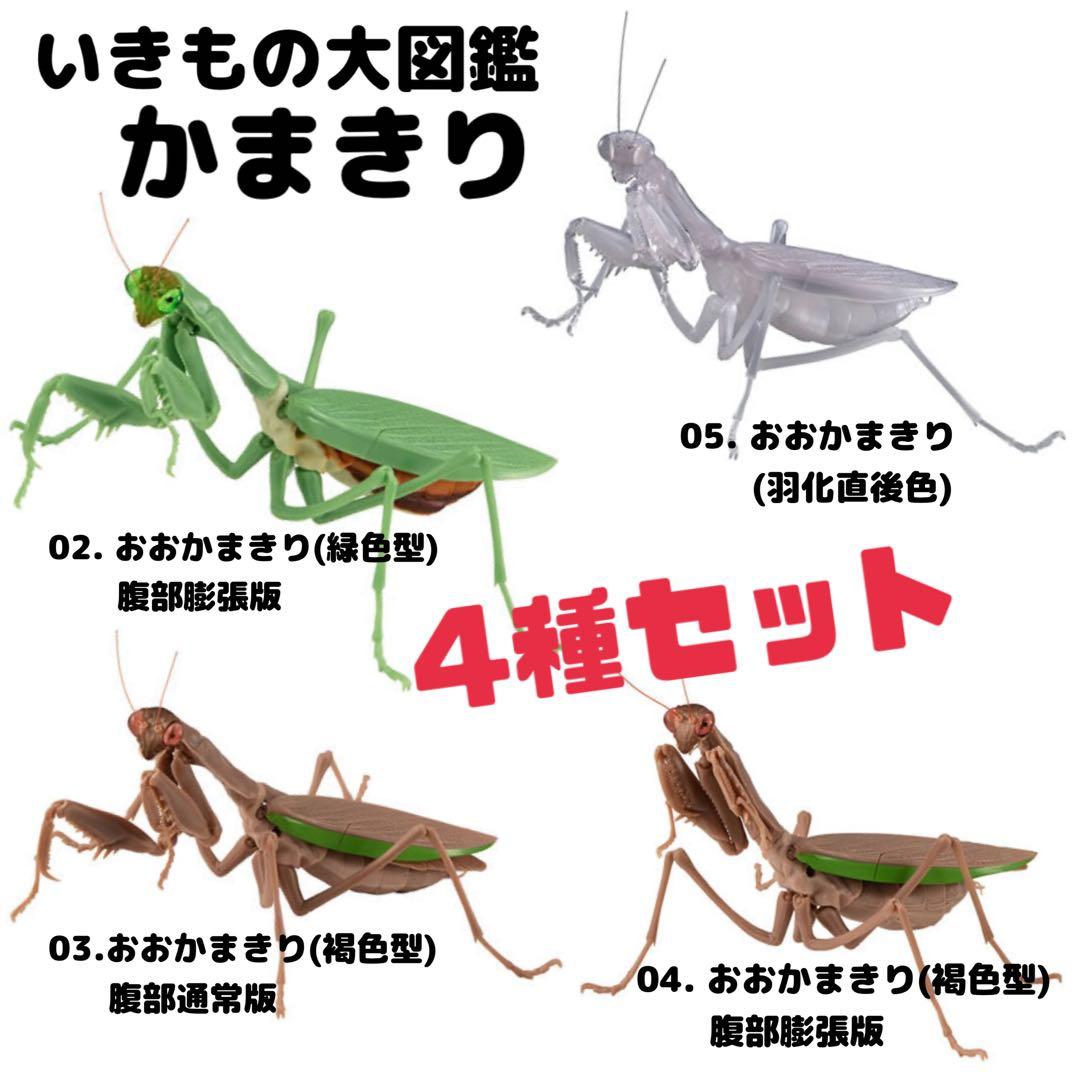 ガチャ】いきもの大図鑑 かまきり 4種セット(02.03.04.05) - メルカリ