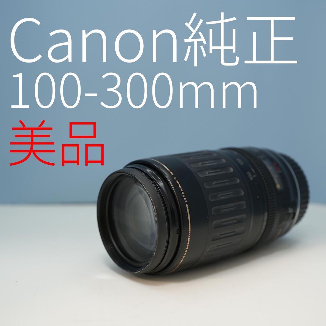 Canon純正 100-300mm 望遠レンズ 美品 a3475 Canon純正 100-300mm 望遠レンズ 美品 a3475 - メルカリ