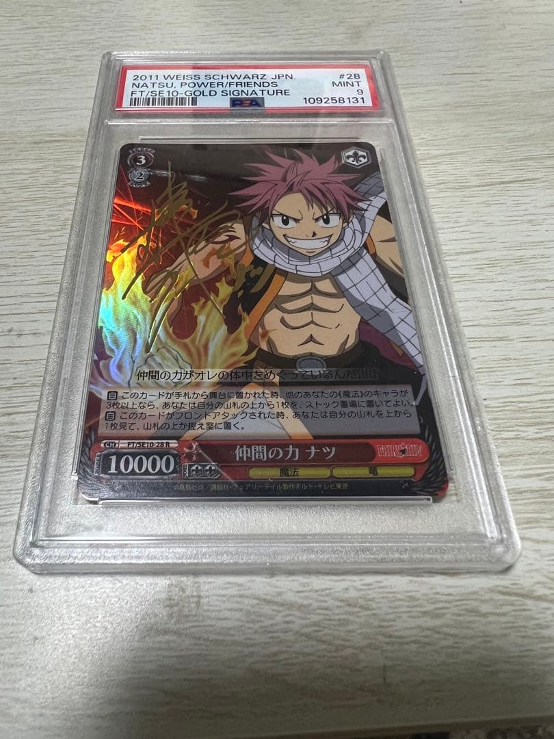 仲間の力　ナツ　psa9 PSA9鑑定済〕ガラルの仲間たち【SR】{258/184}