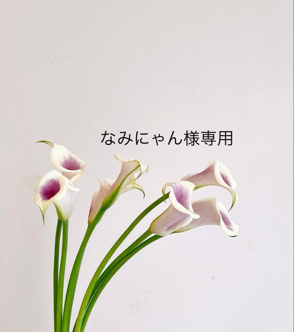 なみにゃん 様　VBソリューション　ラッシュアディクト　カットソー UVカット／汗ジミ抑制】透けないカットソー【7分袖／S～3L