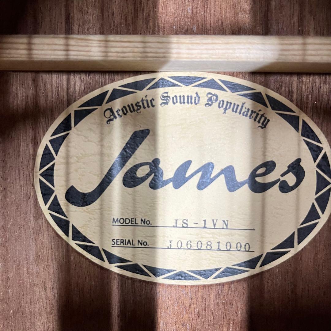 エレアコ化オプション11068James JS-1VN アコースティックギター