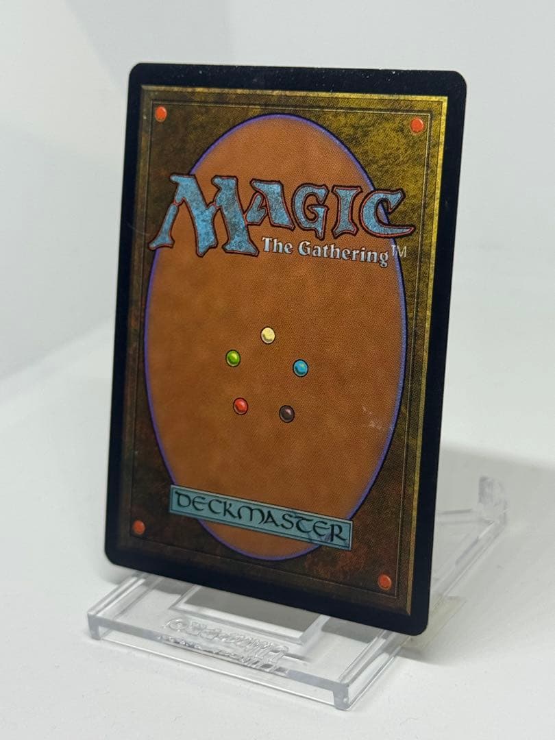 《適者生存/Survival of the Fittest》[EXO]日本語