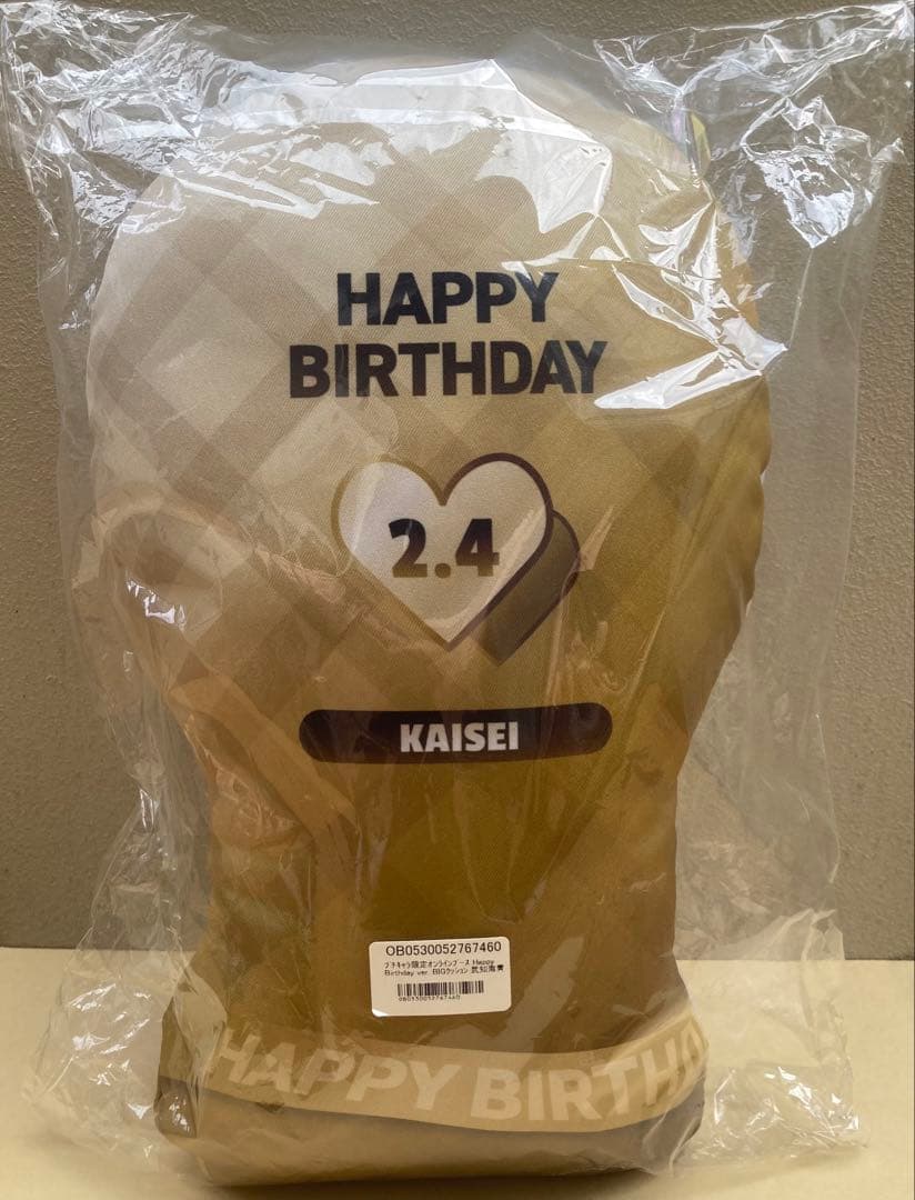 武知海青 RAMPAGE クッション バースデー オンラインブース プチキャラ