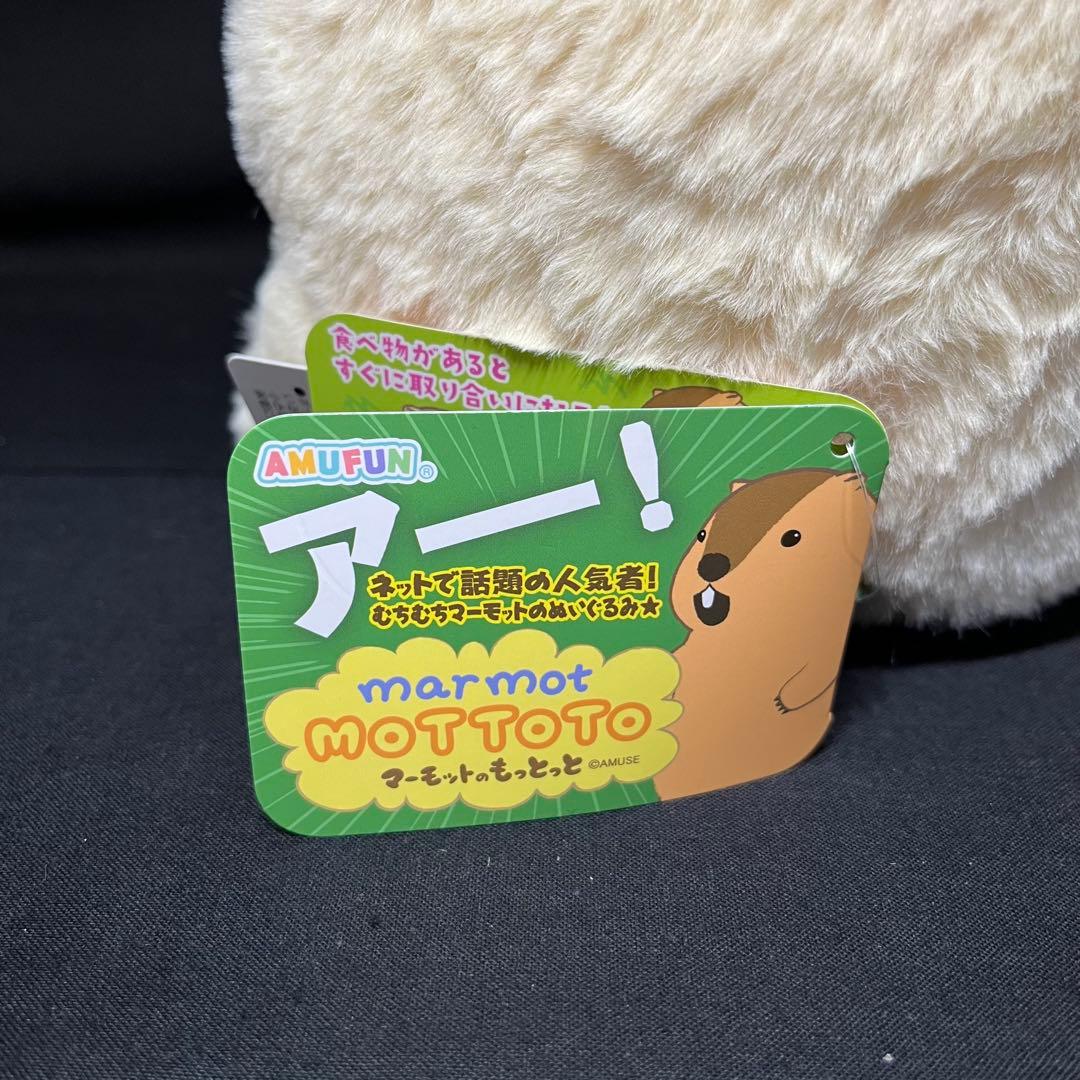 マーモットのもっとっと JB アー太郎 はまもと もっとっと ぬいぐるみ