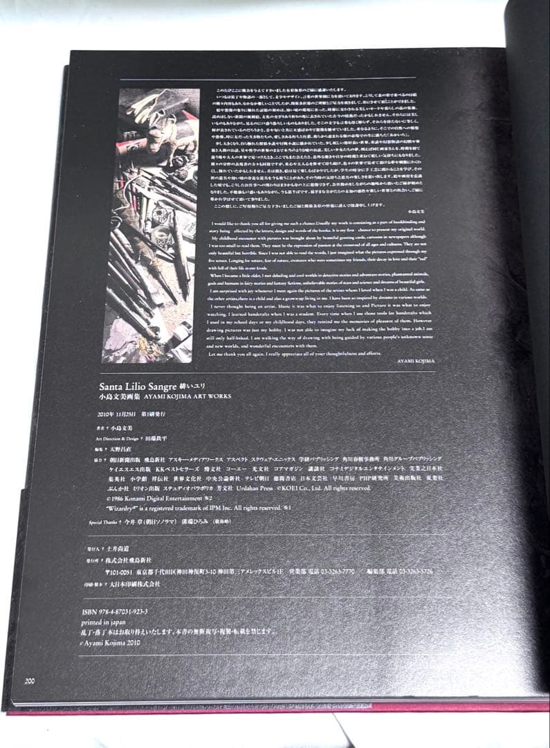 [美品] 小島文美 画集 -Santa Lilio Sangre- 緋いユリ