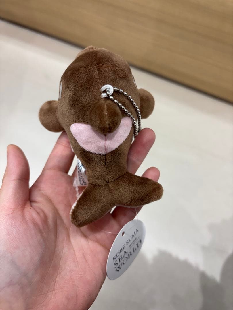 須磨シーワールド シャチ 新色 ショコラデュオカラー キーホルダー