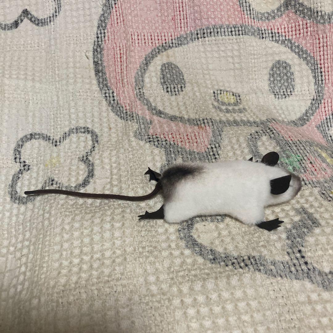 ケーセン Koesen ぬいぐるみ サイアミーズラット 中古品 - メルカリ