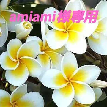 美容液 amiami 株式会社1684／1684AZUMAMINE、紫波町成人式での記念品配布と町長表敬