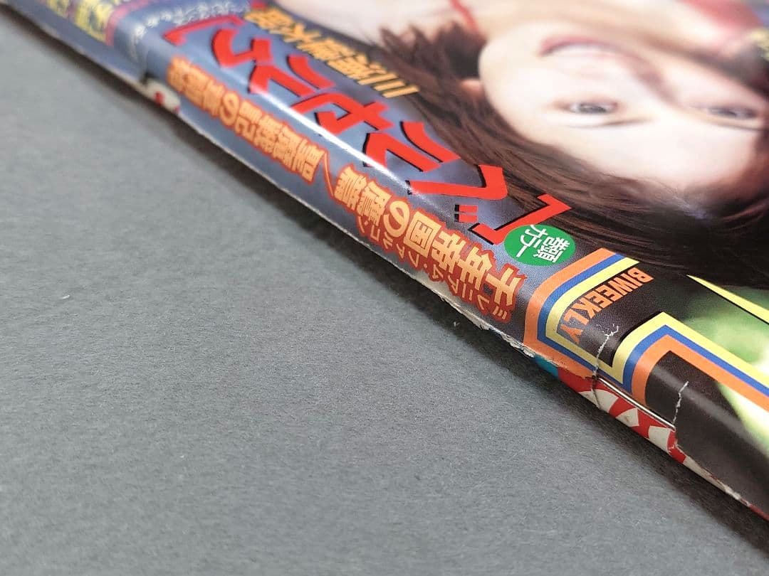 ヤングアニマル2001年8号ベルセルク巻頭見開きカラー第179話/佐藤ゆりな