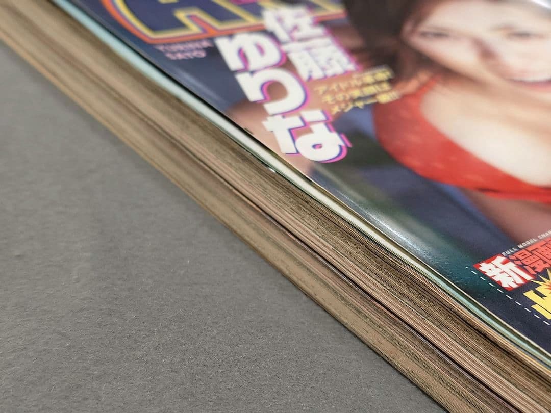 ヤングアニマル2001年8号ベルセルク巻頭見開きカラー第179話/佐藤ゆりな