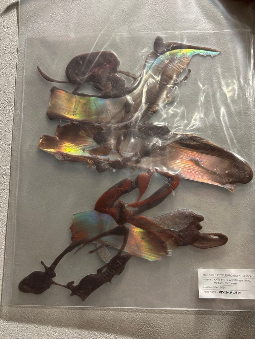 はくいきしろい × KATE 【アップサイクルプロジェクト 当選品