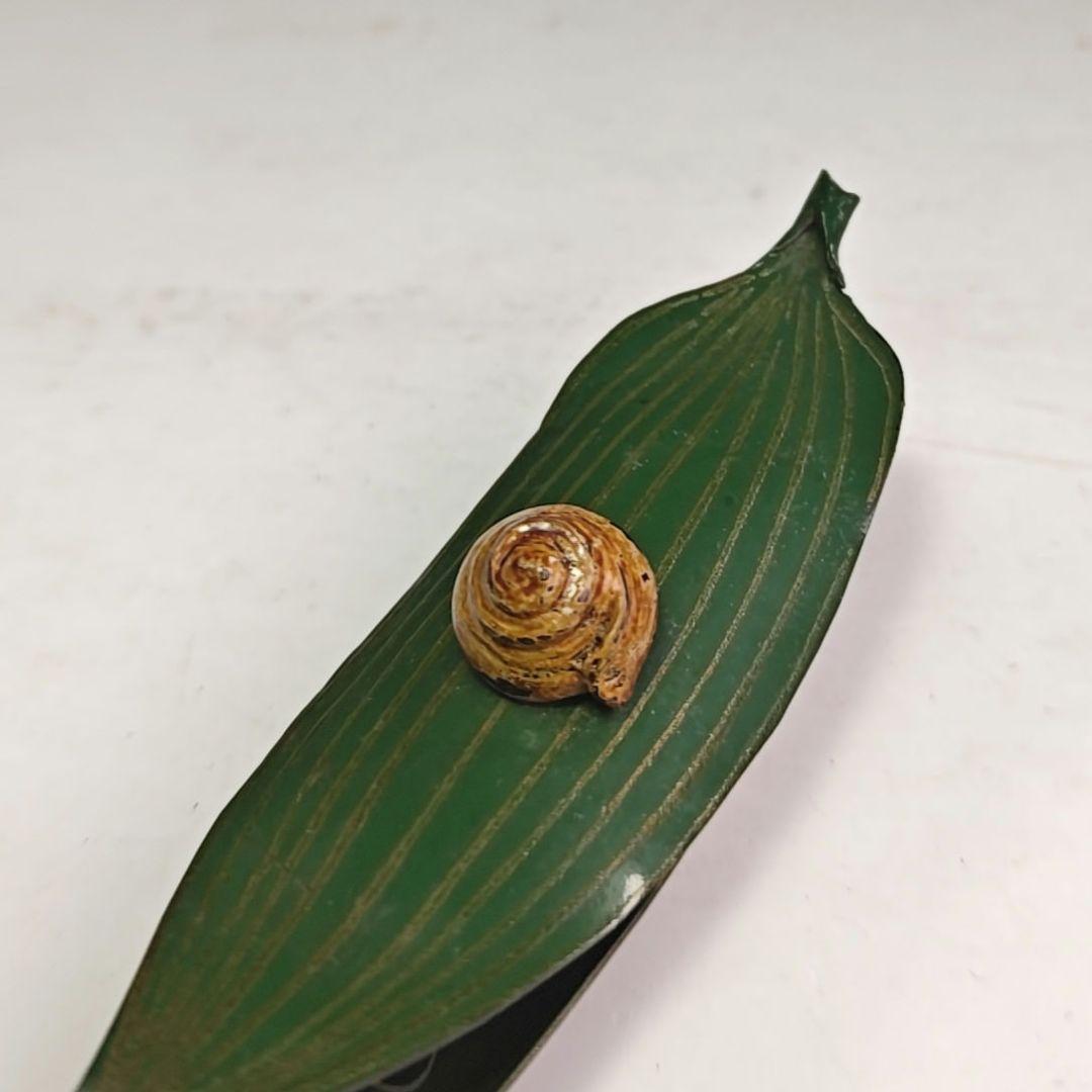 イ998 香合『中川正斉』『乾漆 竹笹かたつむり 香合 共箱』漆塗 茶道具