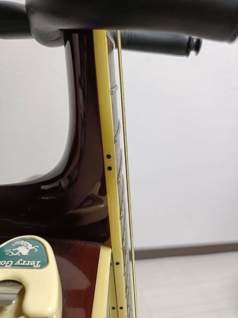 Takamine タカミネ T-F1/BS アコースティックギター 弦交換済♪ - メルカリ