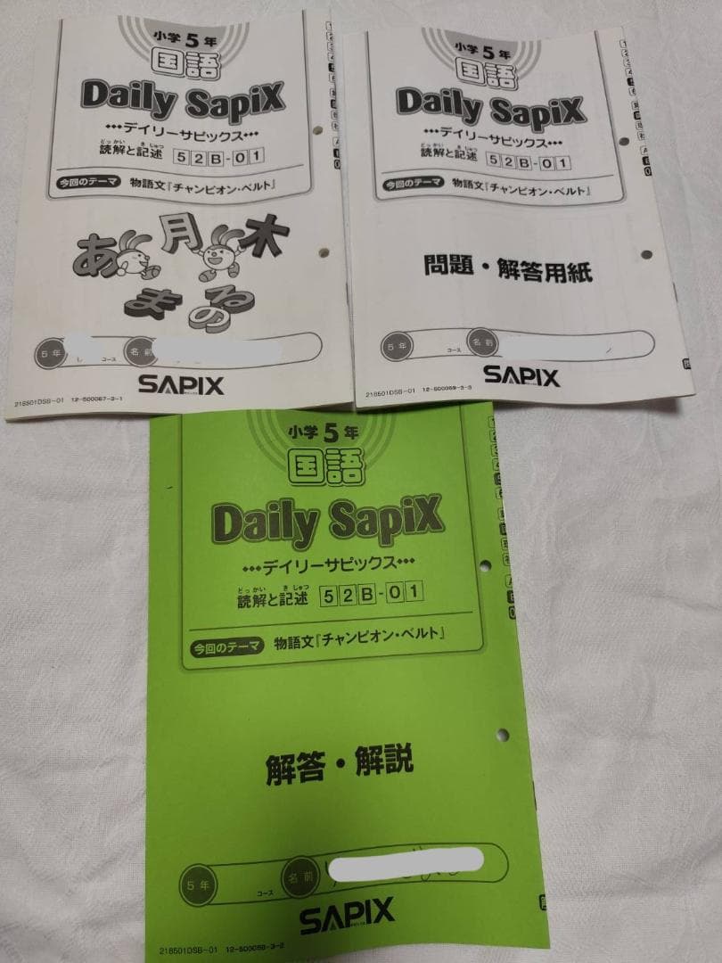 2023年度 小学6年 国語 Daily SapiX 国語B サピックス SAPIX ♪大人気