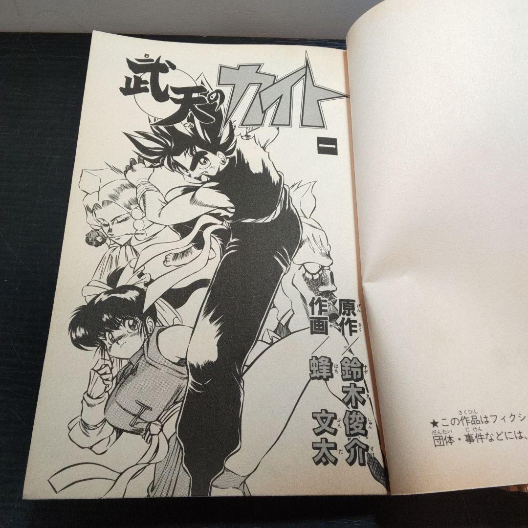 稀少 武天のカイト 全3巻完結セット ガンガンコミックス 蜂 文太