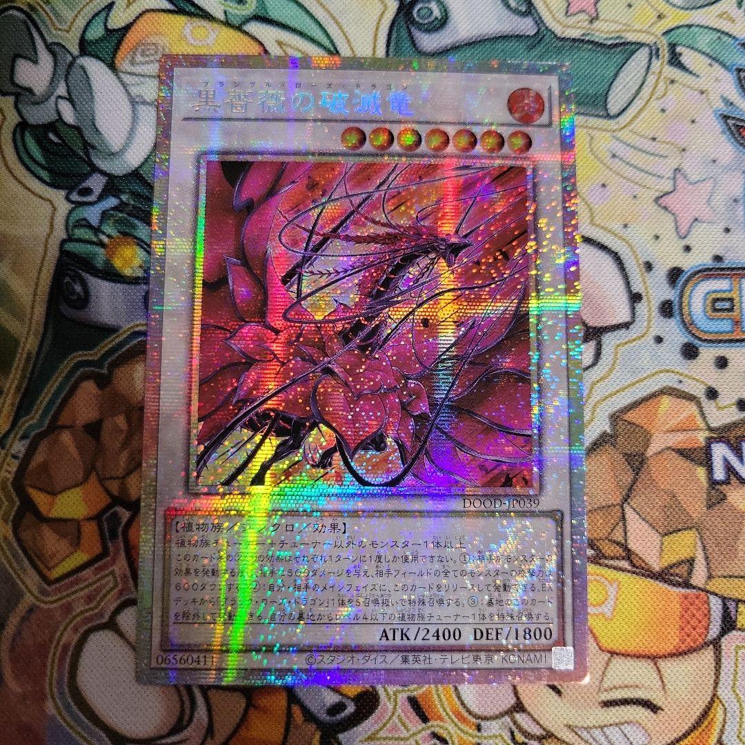 遊戯王 黒薔薇の破滅竜 アジア プリズマ プリシク - メルカリ
