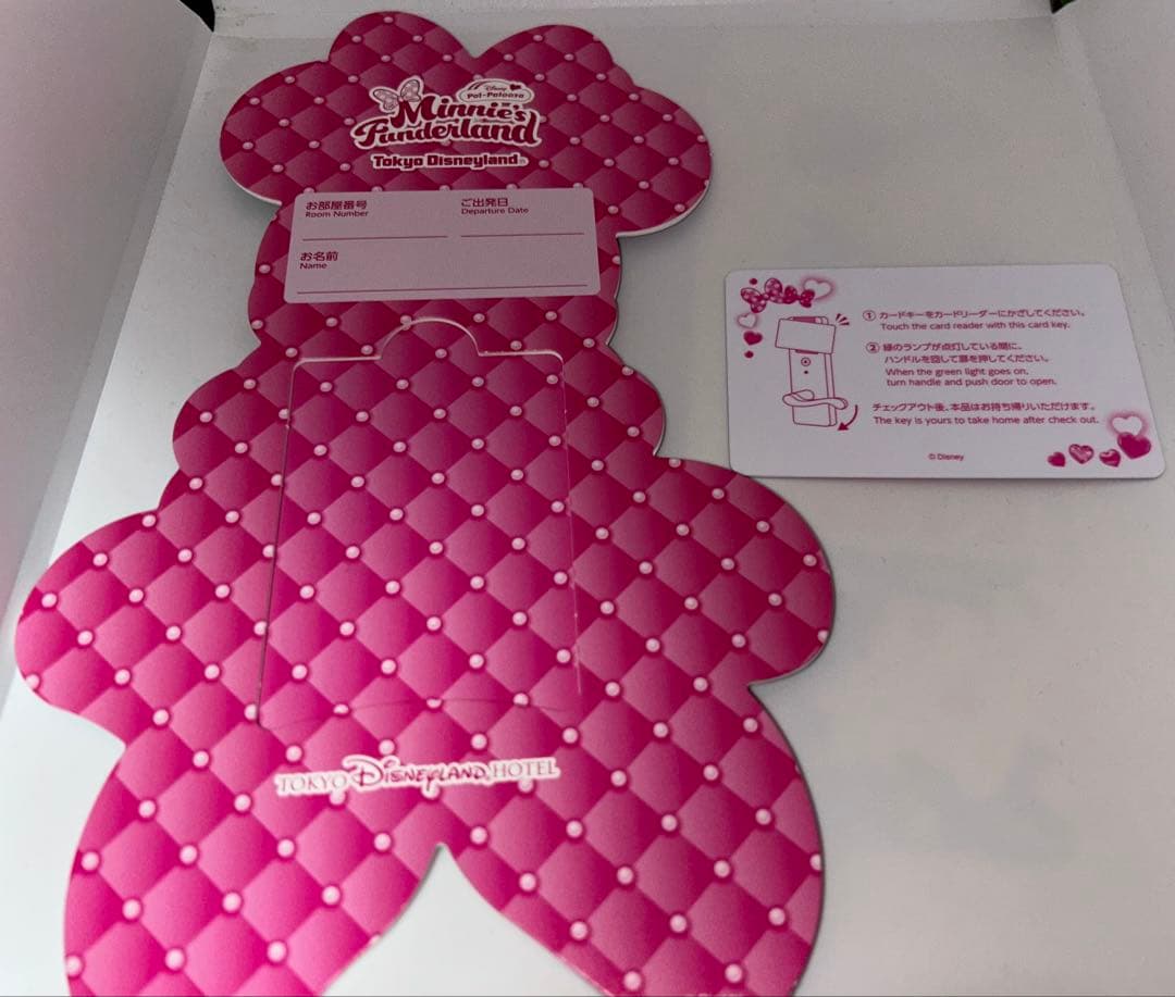 未使用)ミニー パルパルーザ ランドホテル ルームキー キーケース 全身