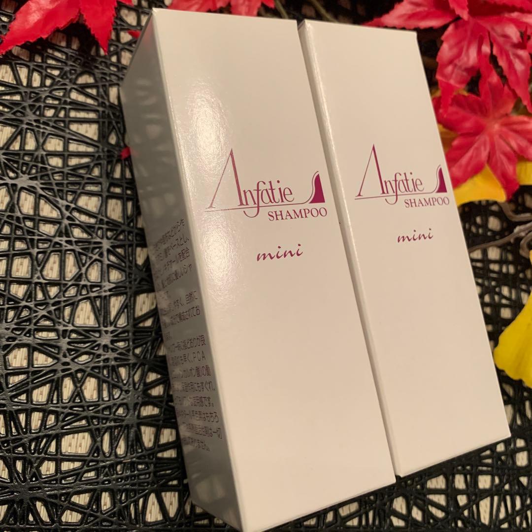 あと2本で終了❣️アンファティ シャンプーNA ミニ 2本旧 - メルカリ