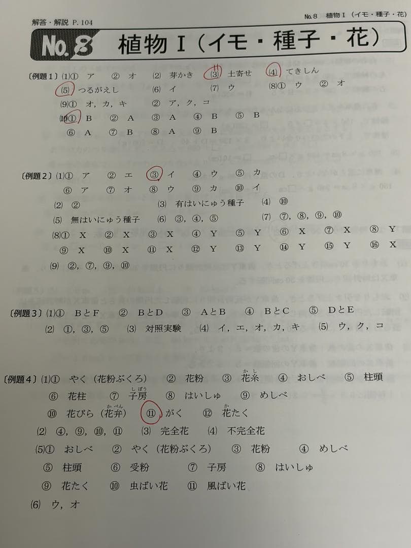 浜学園 小6 理科 最高レベル特訓問題集 解答・解説 全4冊セット - メルカリ