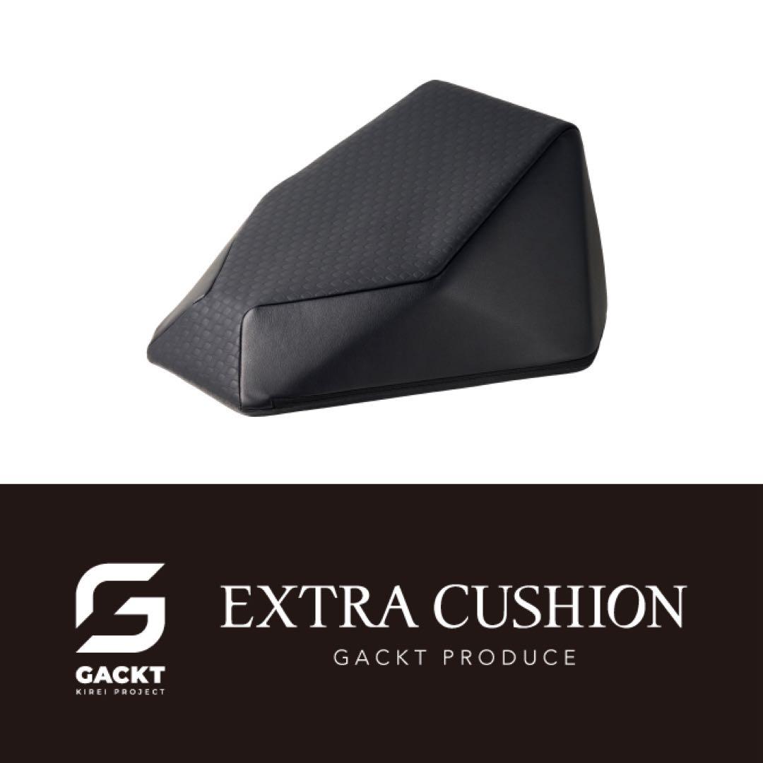 新品未使用 エクストラクッション/GACKT AIM-CU11T - メルカリ