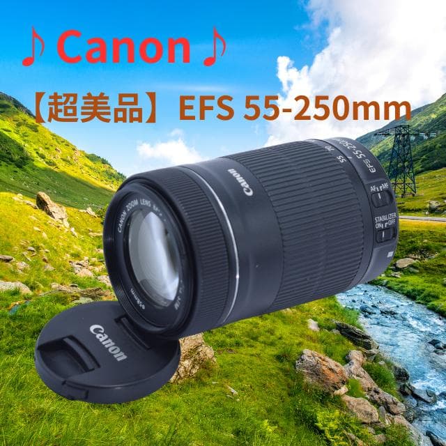 【極美品】EF-S 55-250mm 1:4-5.6 IS STM Canon EF-S 55-250mm f/4-5.6 IS STM Telephoto Zoom Lens with