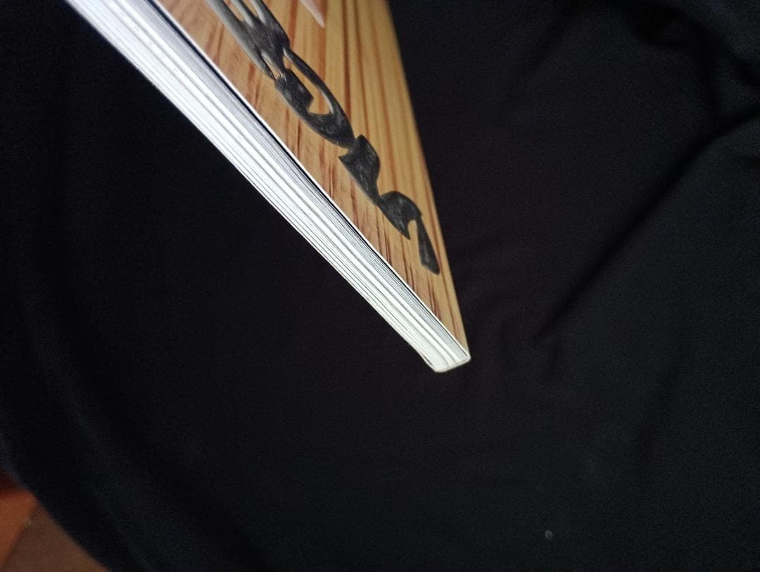 趣味 Vice Magazine Vol. 9 Terry Richardson