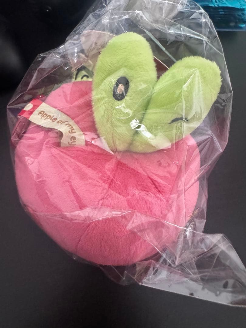 ポケモン 中国限定 カジッチュ カジッチュシリーズ '果然一派