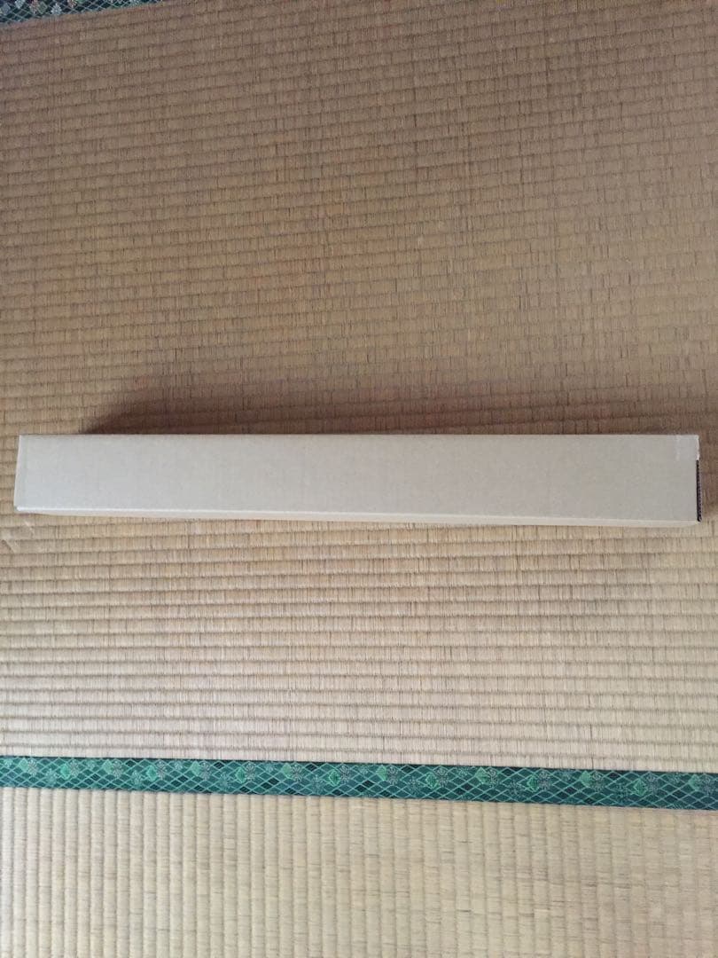 森咲智美 等身大ポスター エンタメ スケスケ下着で(？）挑発