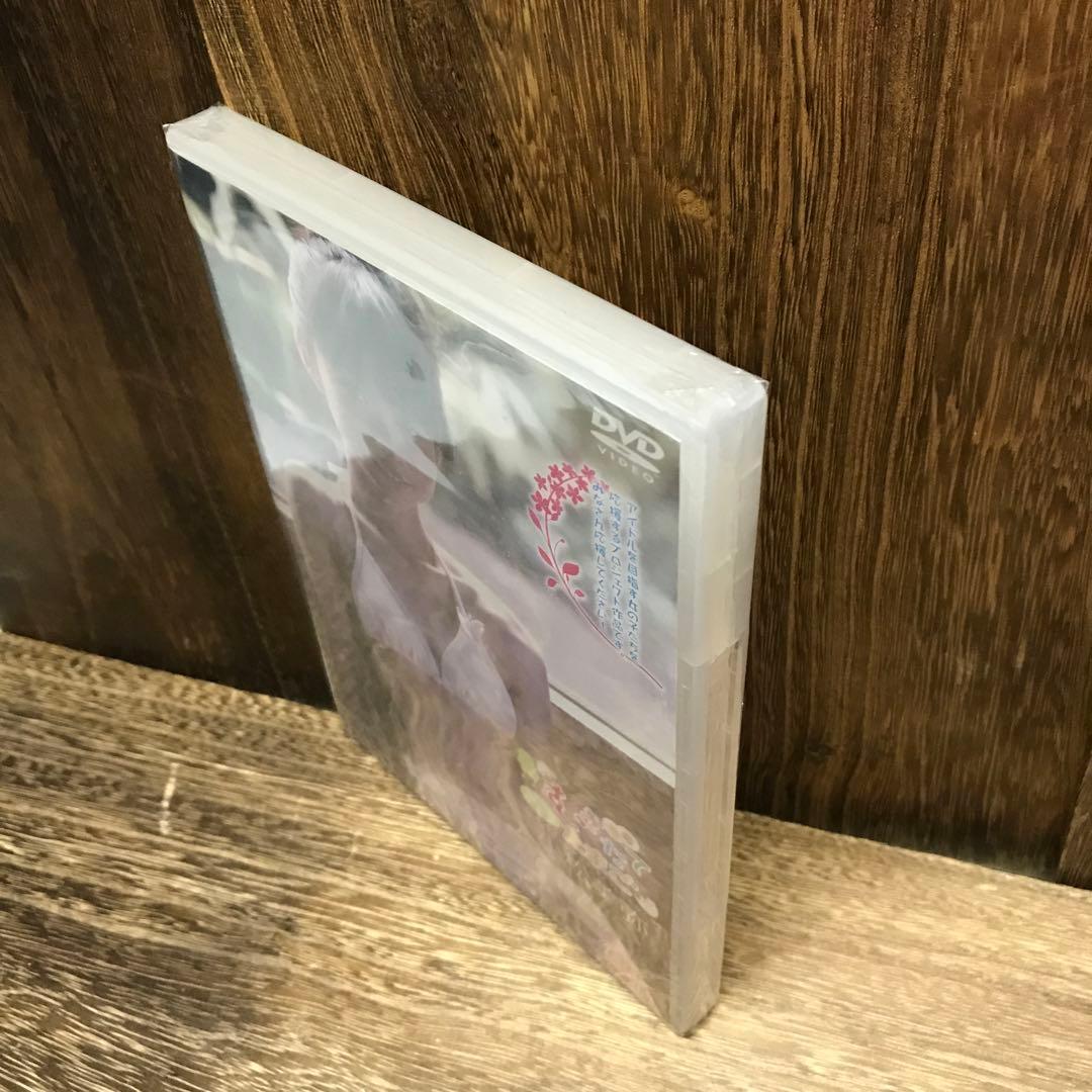 小松美弥　半熟むきたてたまご　未開封