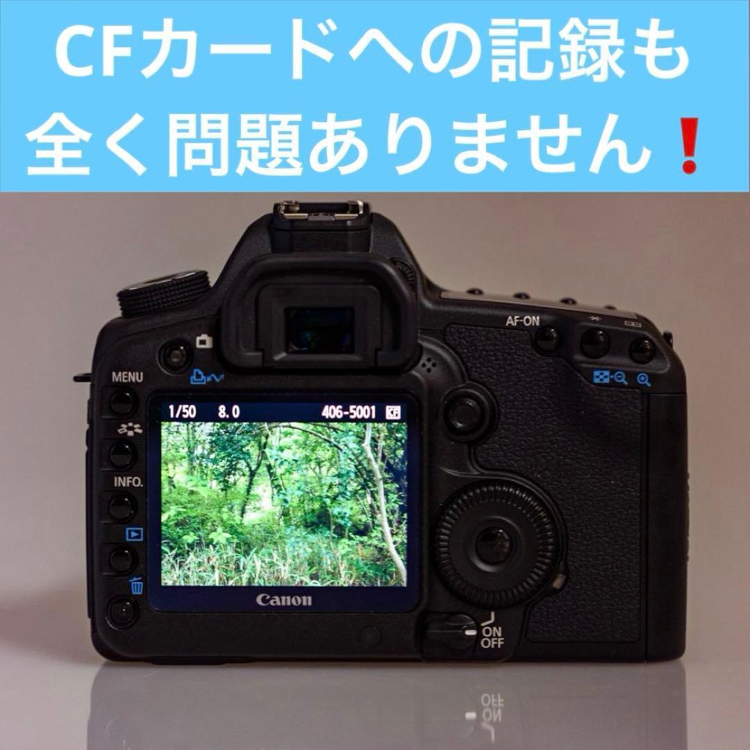 激レア！ショット数僅か734 極上動作品！ Canon 5DMARKⅡ付属品多数