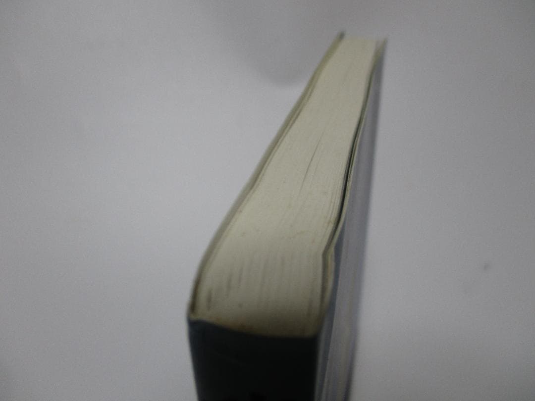 臨月 野寺夕子 THE LAST MONTH