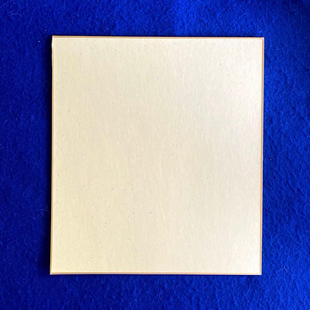 フジテレビ 人気女子アナ 高島彩 加藤綾子 直筆サイン 色紙 写真付