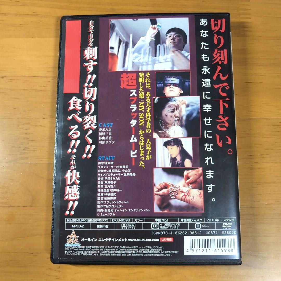 女虐 悪魔の悦び痛いのが好き DVD 廃盤 【セル版】