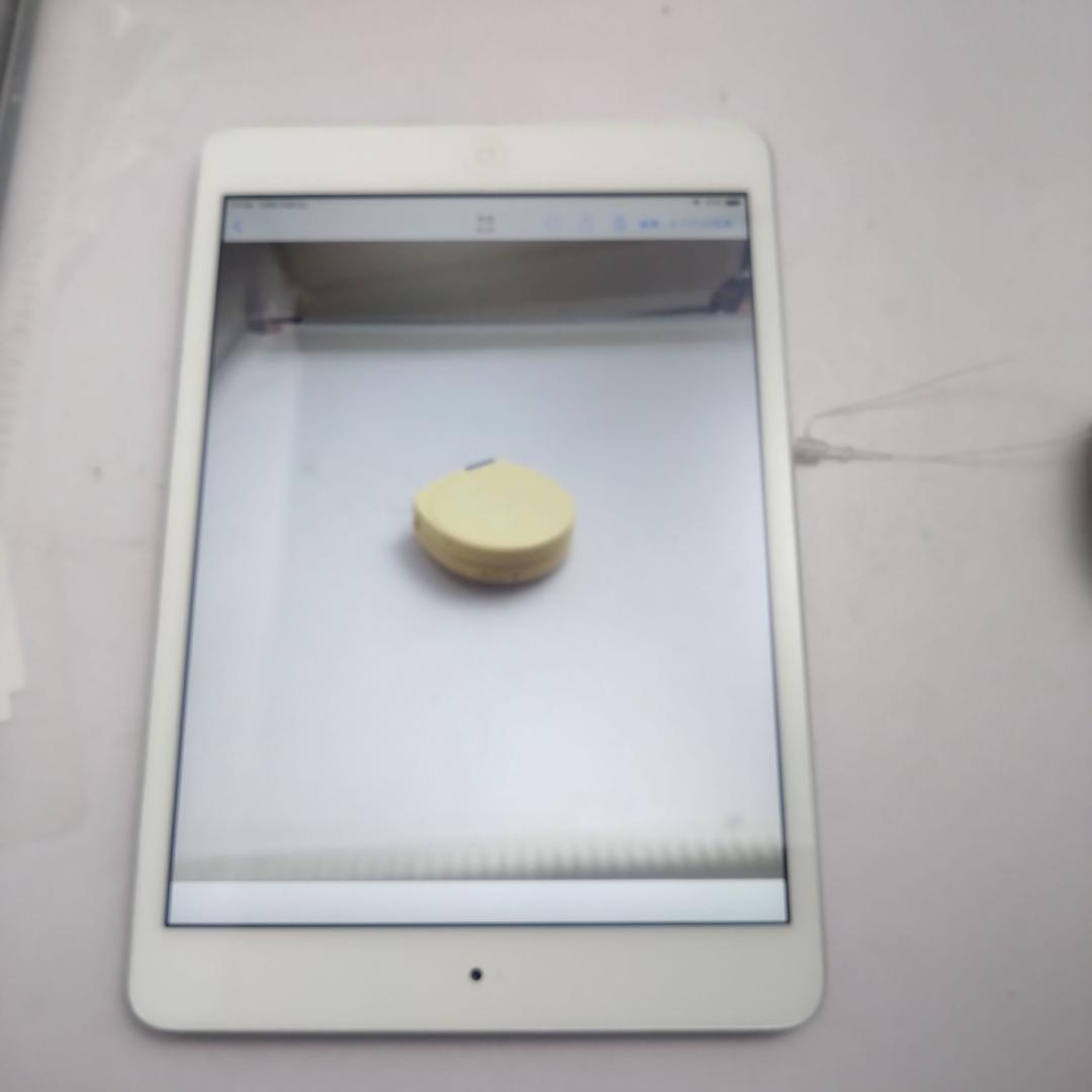 Apple iPad mini2 ME860J/A ROM:128GB 動作中古